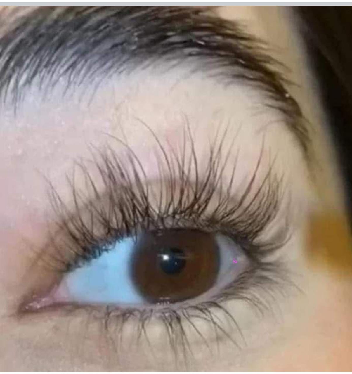 Natural Eyelash Growth Serum: Castor & Almond Oil, Vitamin E - 15ml